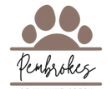 Pembrokes of Walnut Creek