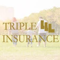 Triple L Insurance