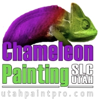 Chameleon Painting LLC