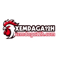 xemdaga12h