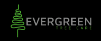 Evergreen Tree Care