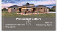 Professional Gutters Inc