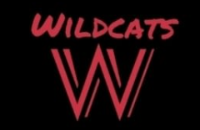 Wildcats Montreal Basketball