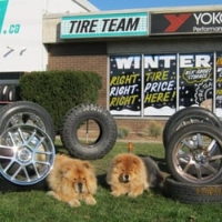 Tire Teams Centres Inc.