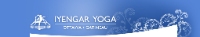 Iyengar Yoga Ottawa Gatineau