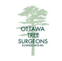 Ottawa Tree Surgeons & Consultants Inc.