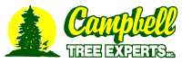 Campbell Tree Experts Inc.