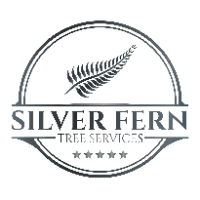 Silver Fern Tree service