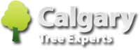 Calgary Tree Experts