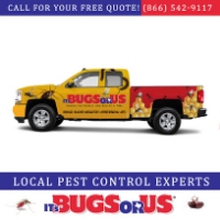 It's Bugs Or Us Pest Control - Magnolia-Spring