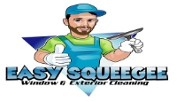 Easy Squeegee Window & Gutter Cleaning