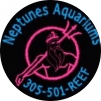 Neptunes Aquariums