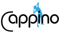 Cappino Physiotherapy and Wellness Center