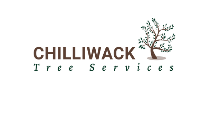 Chilliwack Tree Services