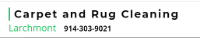 Rug & Carpet Cleaning Service Larchmont