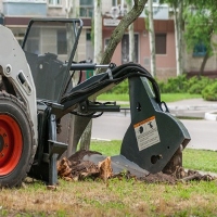 Athens Stump Grinding Pros