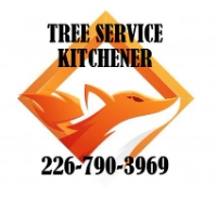 Tree Service Kitchener