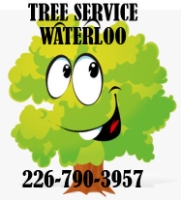 Tree Service Waterloo