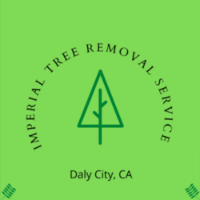 Bay Tree Removal Service