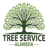 Tree Service Alameda