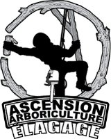 Ascension Arboriculture Elagage