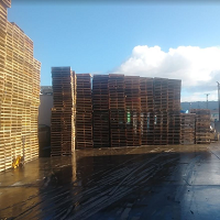 Bay Area Pallets LLC