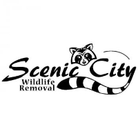 Scenic City Wildlife Removal