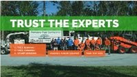 Florida's Tree Surgeons