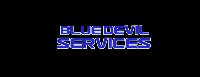 Blue Devil Services