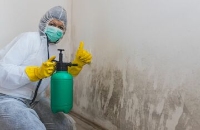 Richmond Mold Removal Pros