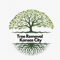 Tree Services Kansas