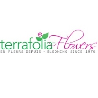 Fleuriste Terrafolia Flowers