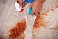 Best Carpet Cleaning Adelaide