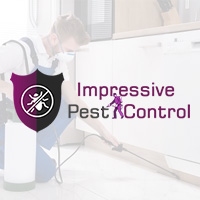 Pest Control Brisbane