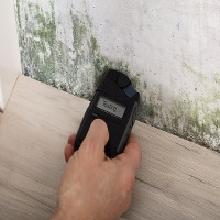 Miramar Mold Inspection