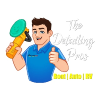 The Detailing Pros