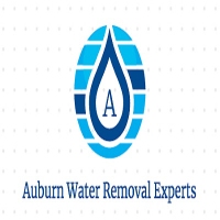 Auburn Water Removal Experts