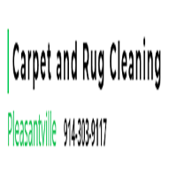 Rug & Carpet Cleaning Service Pleasantville