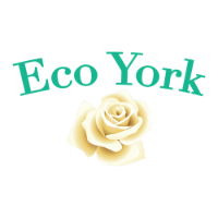 Eco York LLC