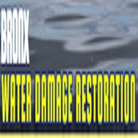 Bronx Water Damage