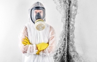 Seattle Mold Removal