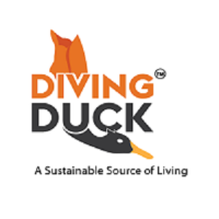 Diving Duck