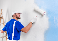 Plateau Painting Solutions