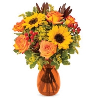 Send Flowers 24x7 - Same Day Flower Delivery Philadelphia PA