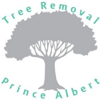 Tree Removal Prince Albert