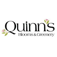 Quinn's Blooms & Greenery