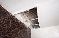 Crown City Water Damage Experts