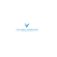 VSM Global Technologies