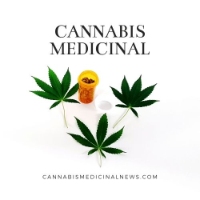 Cannabis Medicinal News