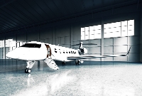 Flight King - Private Jet Charter Rental